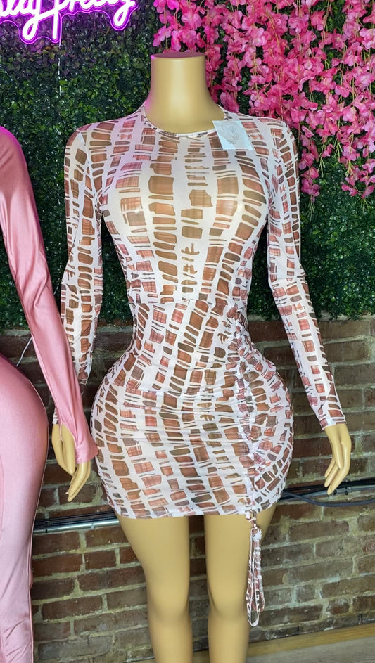 Pink Shades Mesh Dress